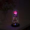"LED decorative rose light with butterfly inside transparent dome"