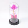 "LED decorative rose light with butterfly inside transparent dome"