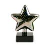 Star-Shaped 3D Illusion LED Night Lamp for Home and Gift Use