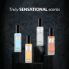 OG Beauty Luxury Perfume Gift – 4 Pc × 20ML Premium Fragrance Set